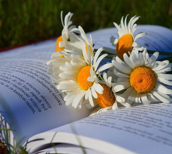Credits: Pixabay