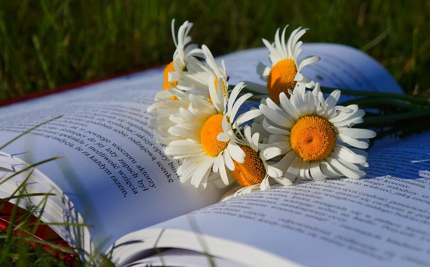 Credits: Pixabay