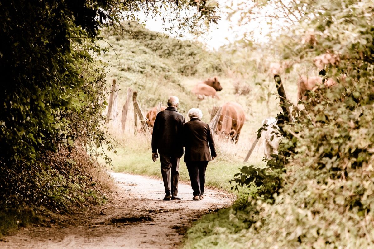 Walk Your Way to Fitness: 10 Amazing Benefits of Walking