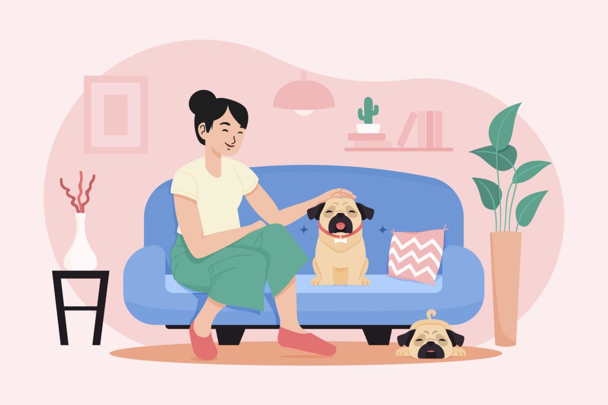 Counting the Costs: Owning a Pet in Canada – What You Need to Know